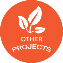 otros-proyectos-ENG